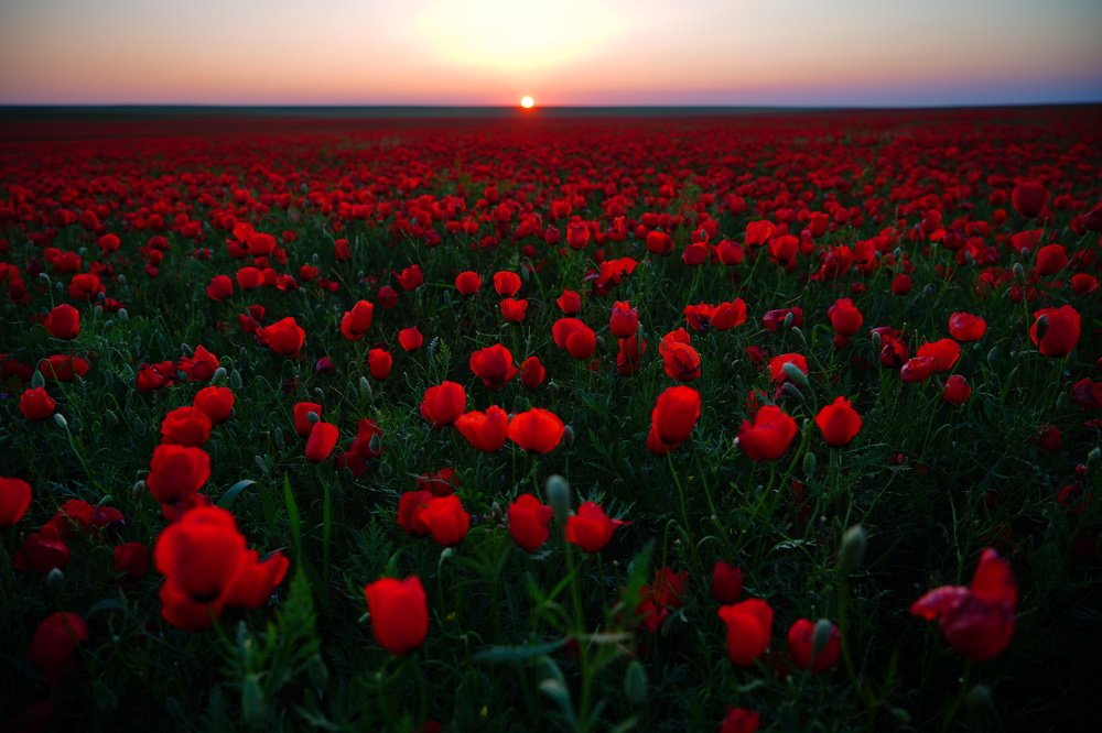 Photograph by Максат Шагырбай