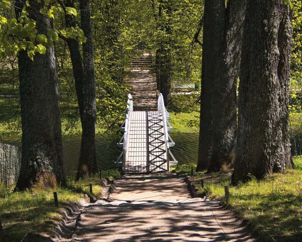 Photograph by Александр Соловьев