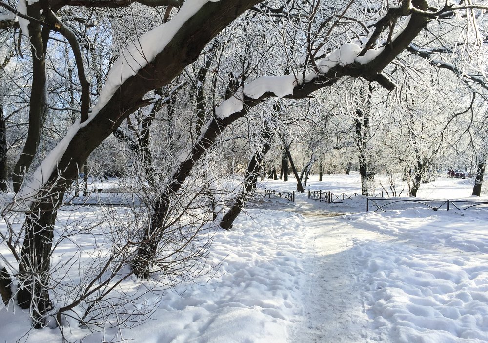 Photograph by Анастасия Ломаева