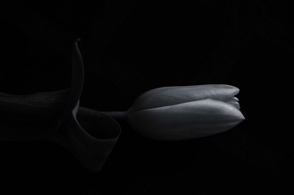 Photograph by Наталья