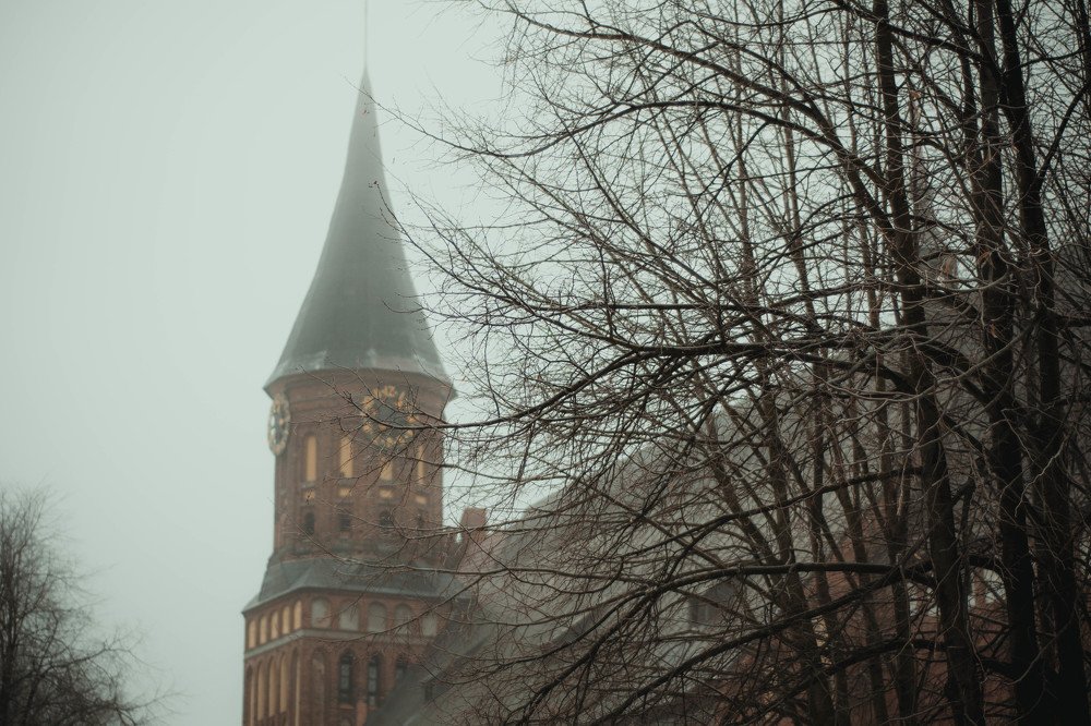 Photograph by Дарья Александрова