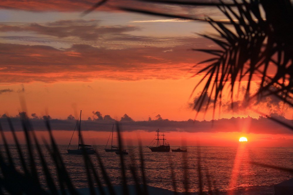 Photograph by Екатерина Пантелеева