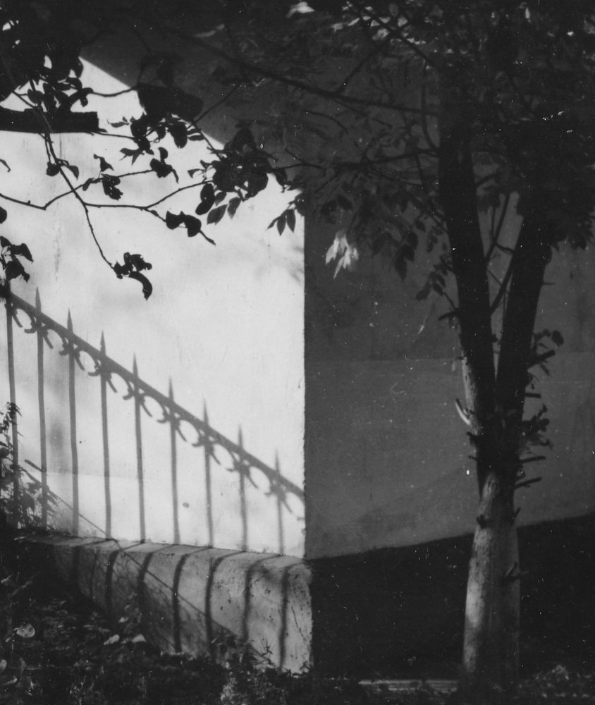 Photograph by Евгения Булычёва
