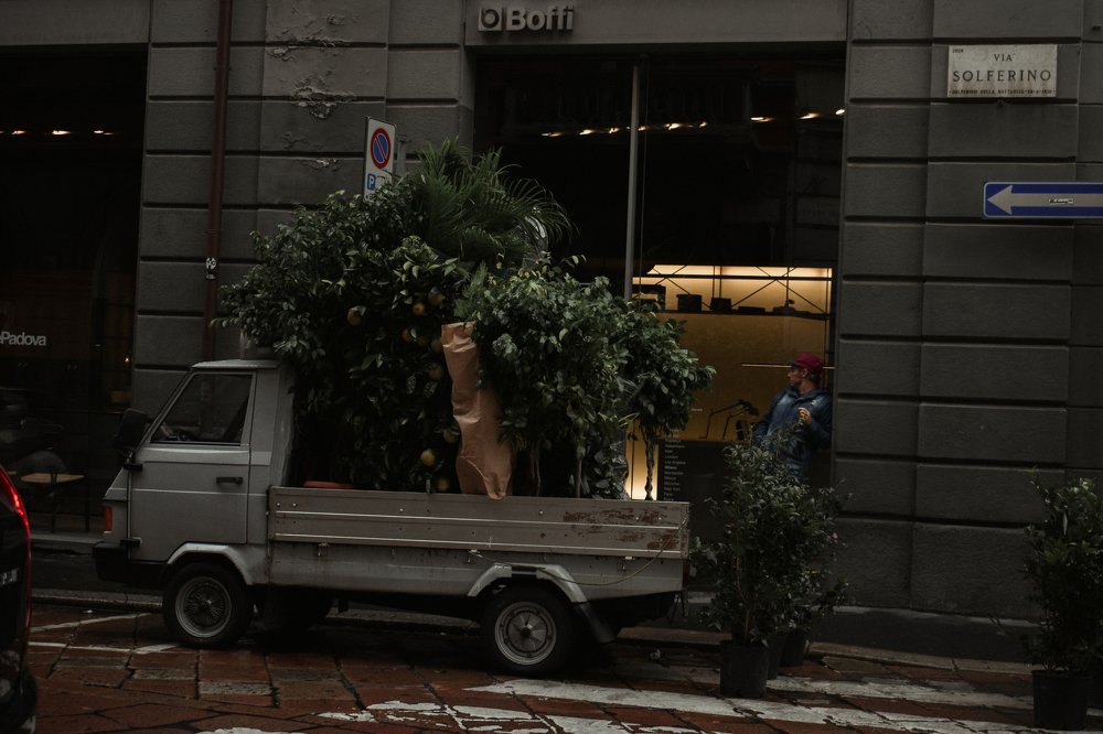 Photograph by Дарья Александрова