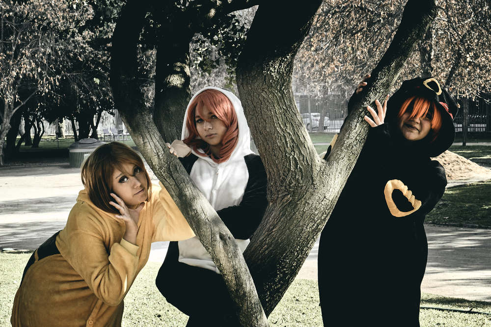 Photograph by Mario Fernando Oportus