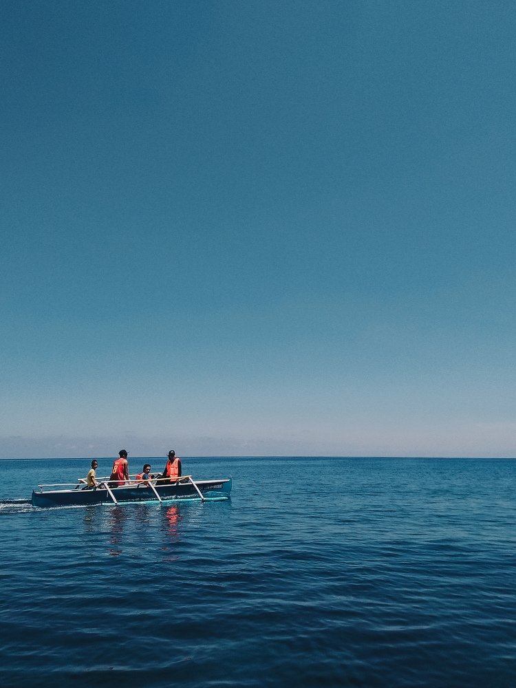 Palawan of the North