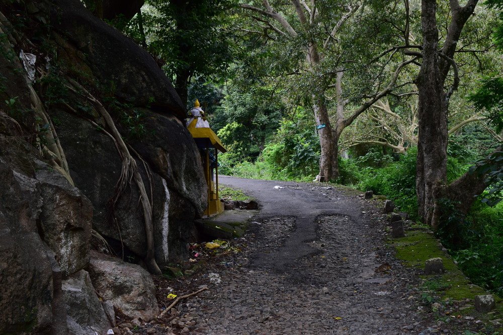 Photograph by Prabanjan Prabanjan karuppusamy