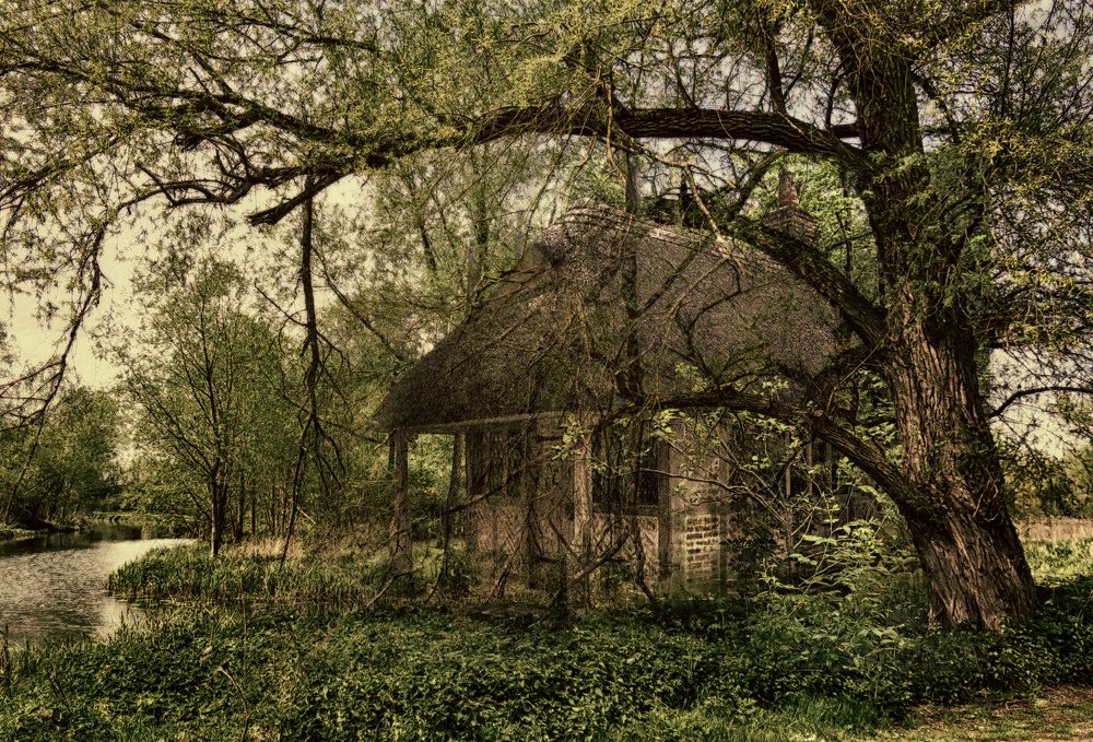 Фотография автора Наталья Доменецкая