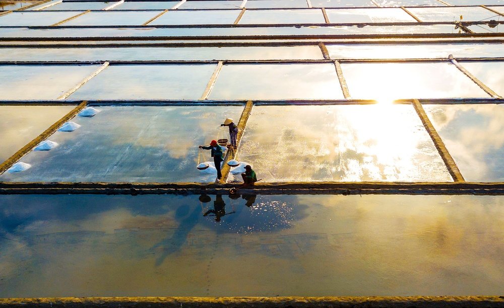 Photograph by Alesandro Hoàng