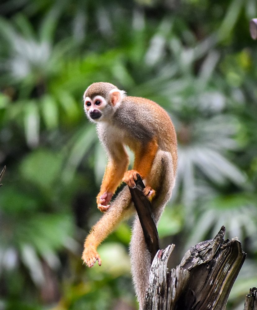 Photograph by Nicholas Ng