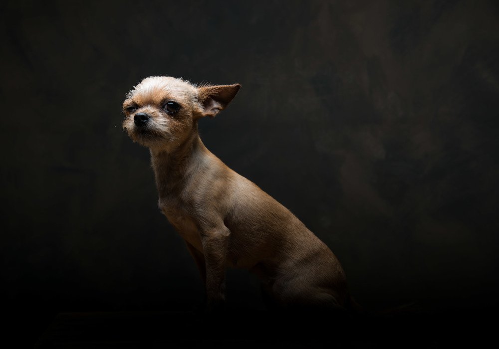 Photograph by Давид Нагапетьян