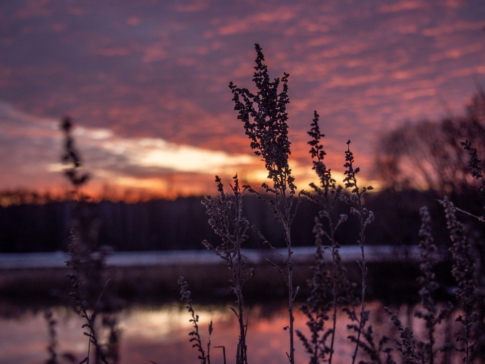 Photograph by mikhail goryachev