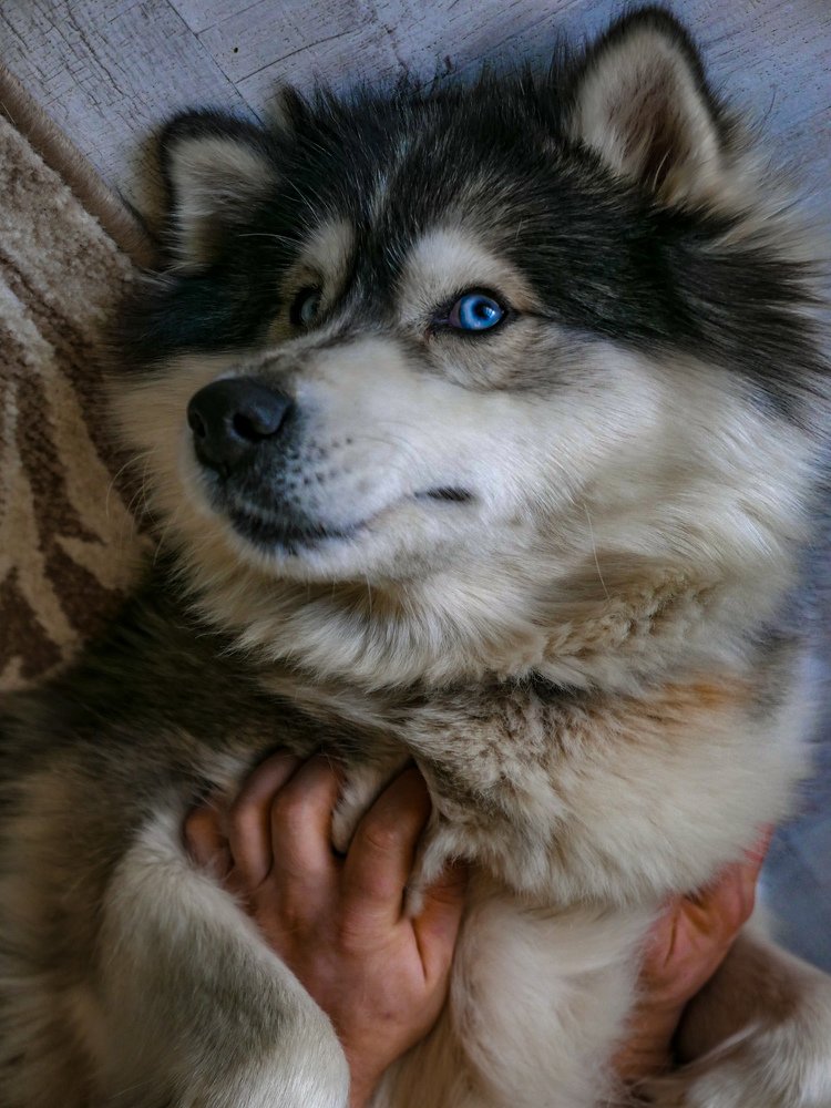 Photograph by Сергей Воеводин