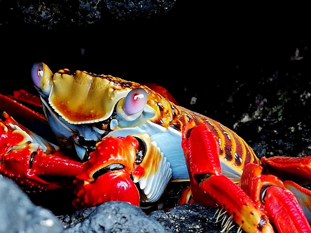 Photograph by Jackson Tabares