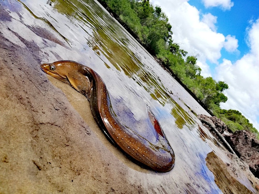 Photograph by Jackson Tabares