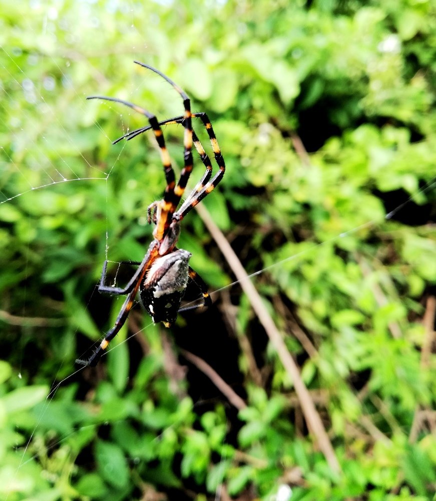 Photograph by Jackson Tabares