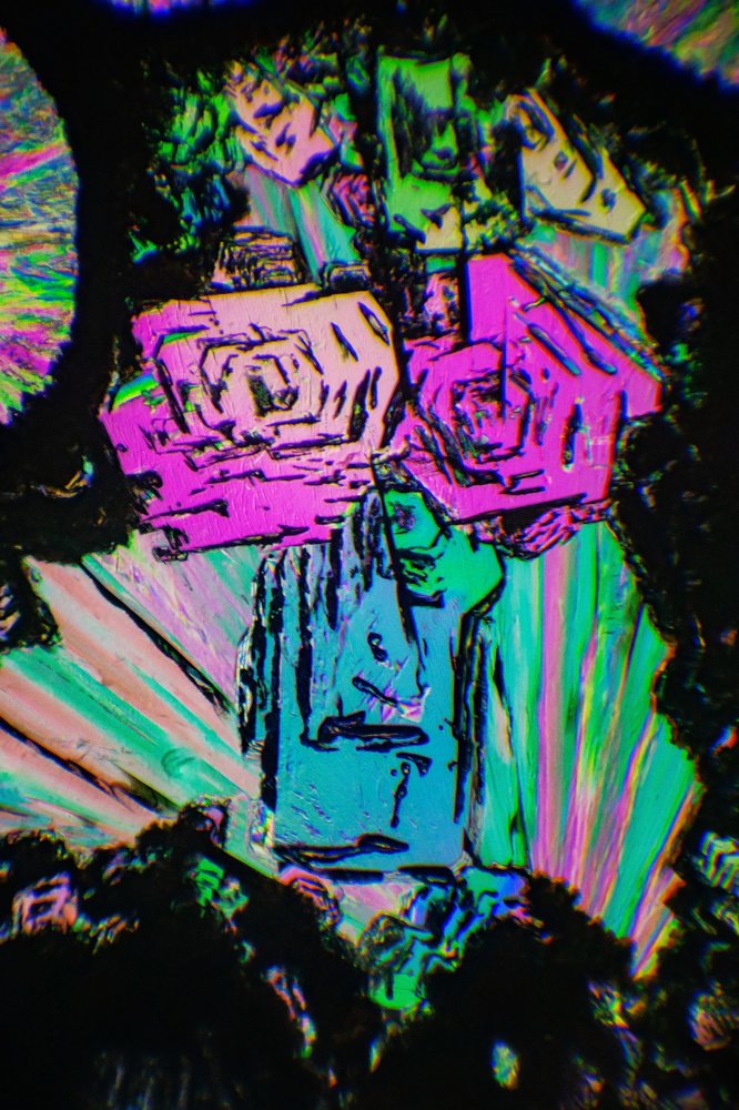 A wonderful micro-world