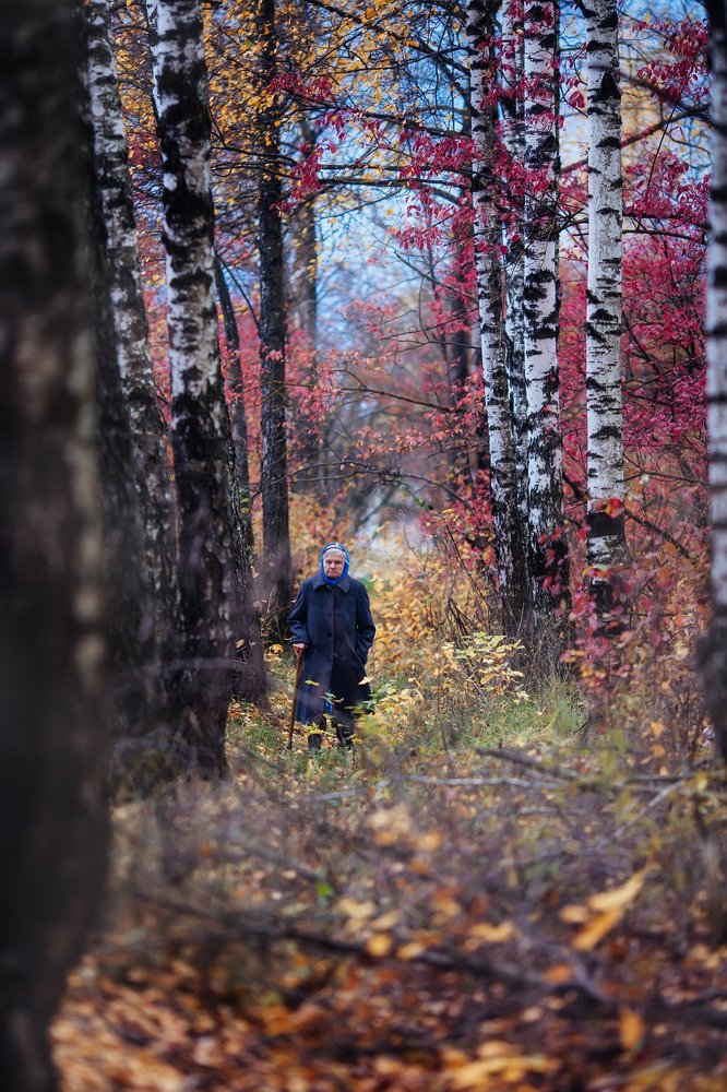 Photograph by Наталья Шкроб