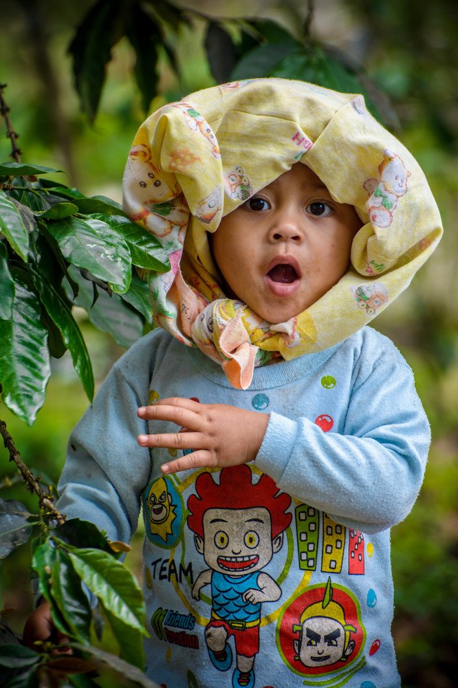 Photograph by Kriswanto Ginting