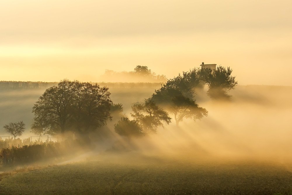 Photograph by Ivars Salmanis