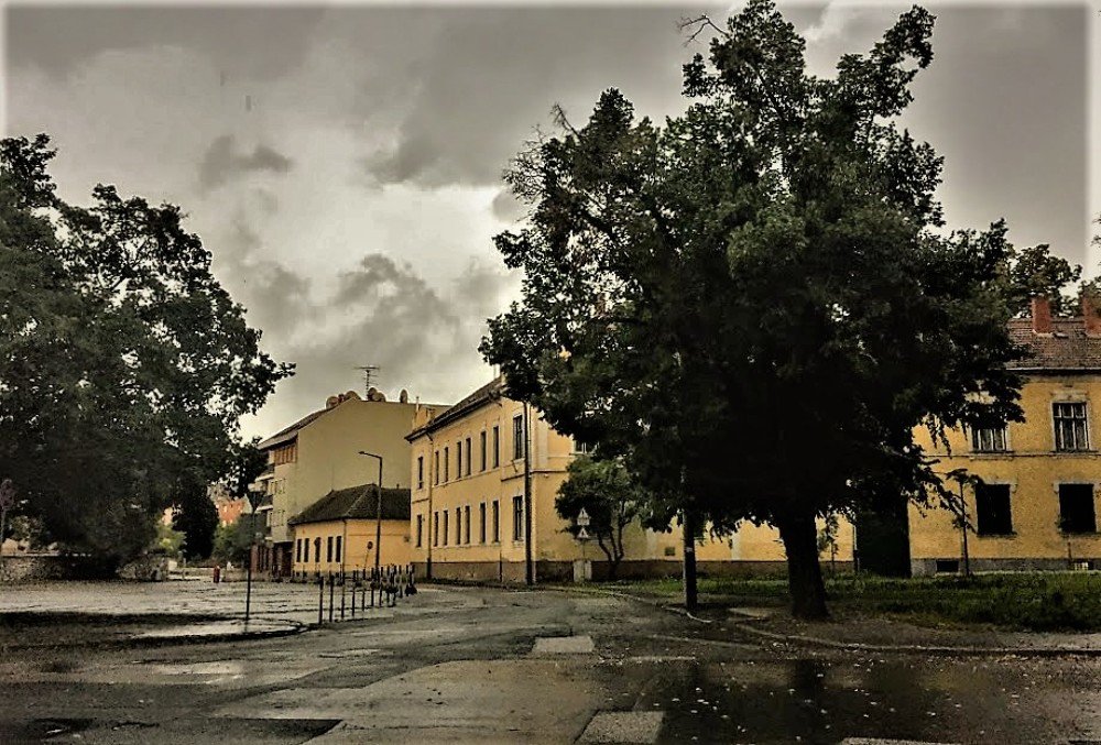 Photograph by Kálmán Rádai