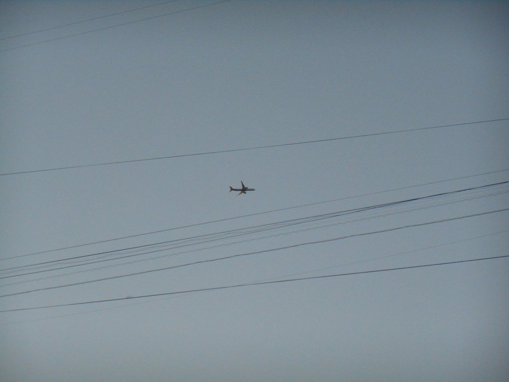 Фотография автора Настя Каляндра