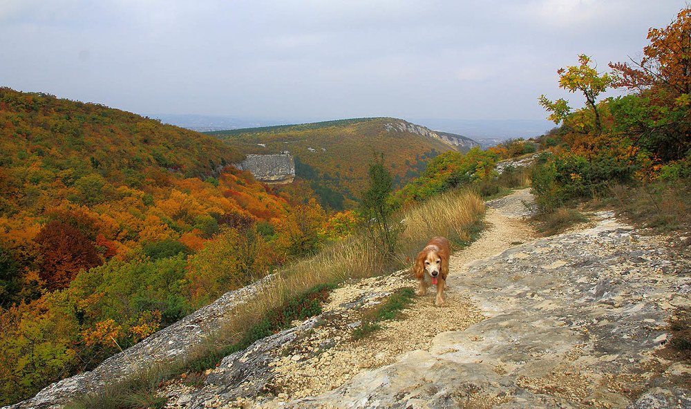 Photograph by Михаил Баевский