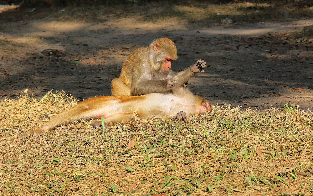 Photograph by Михаил Баевский