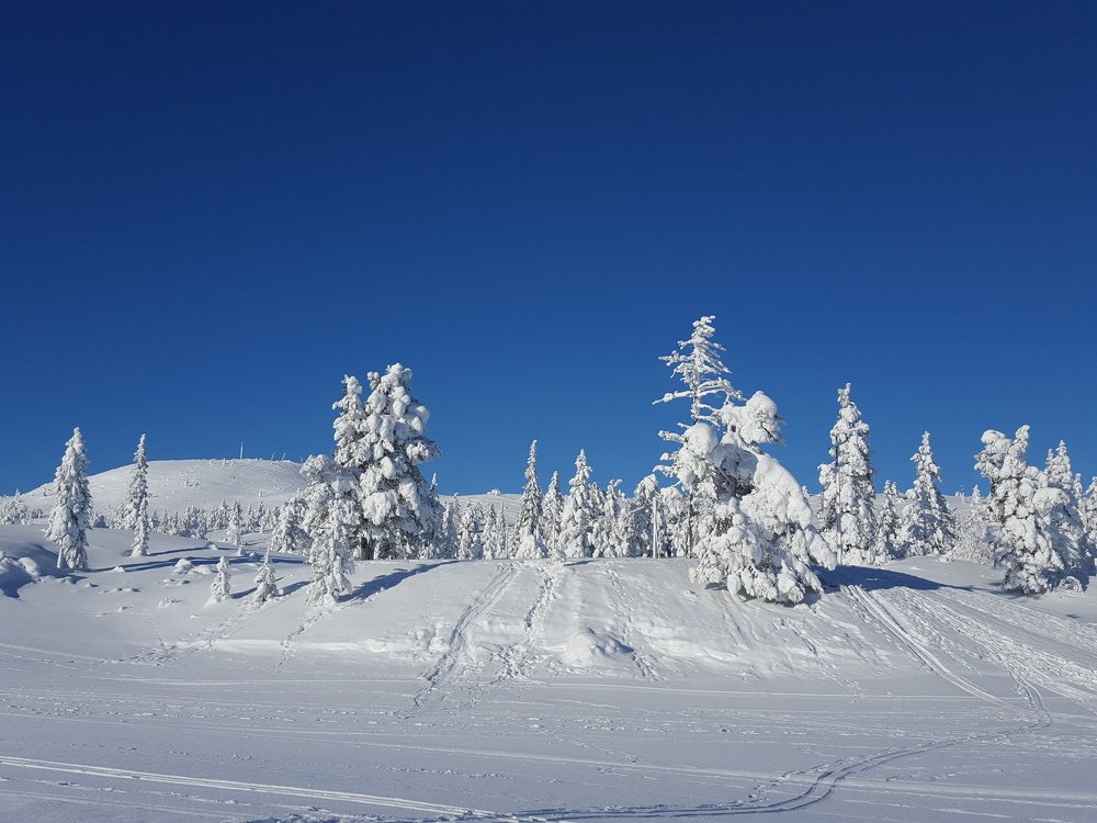 Photograph by Marlene Lima