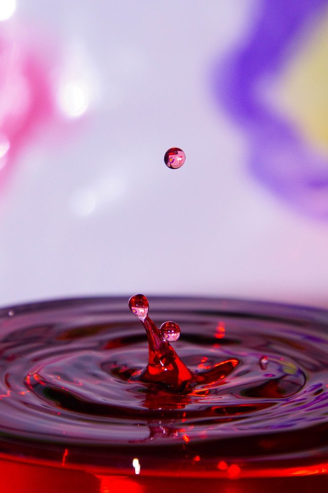 Photograph by Mário C.