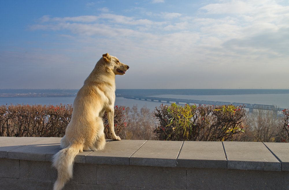 Photograph by Michail Shneider