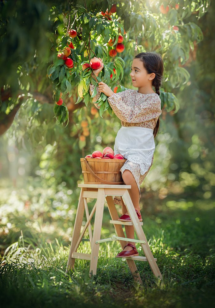 Photograph by Lilia Alvarado