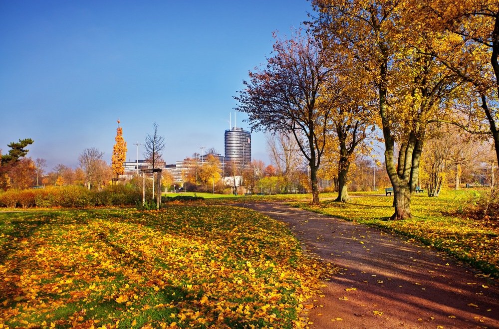 Последние дни осени