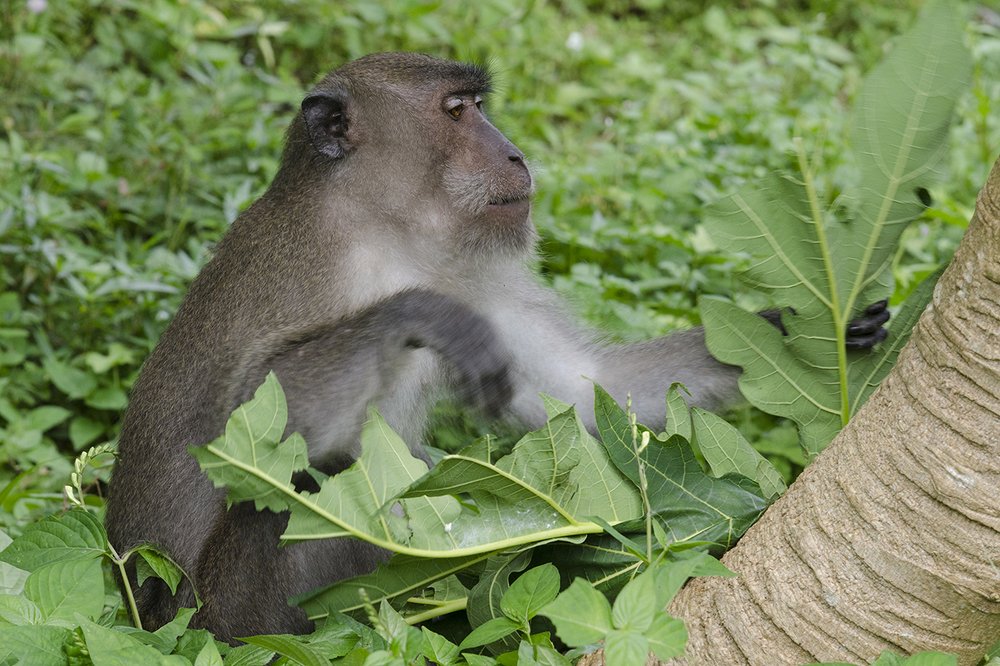 Photograph by Viktor Korotnev