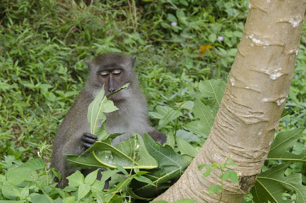 Photograph by Viktor Korotnev