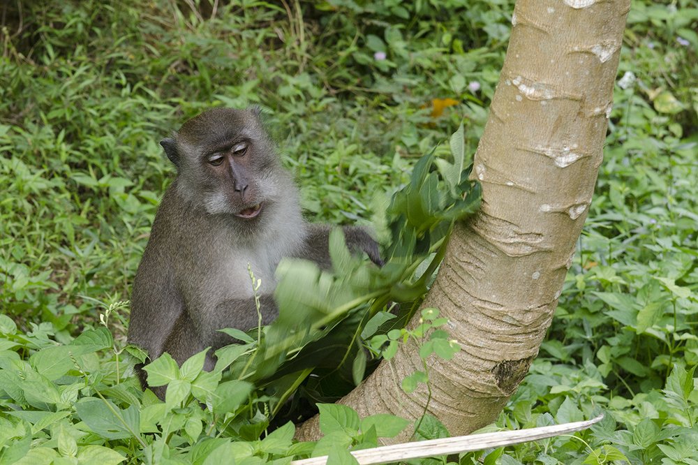 Photograph by Viktor Korotnev