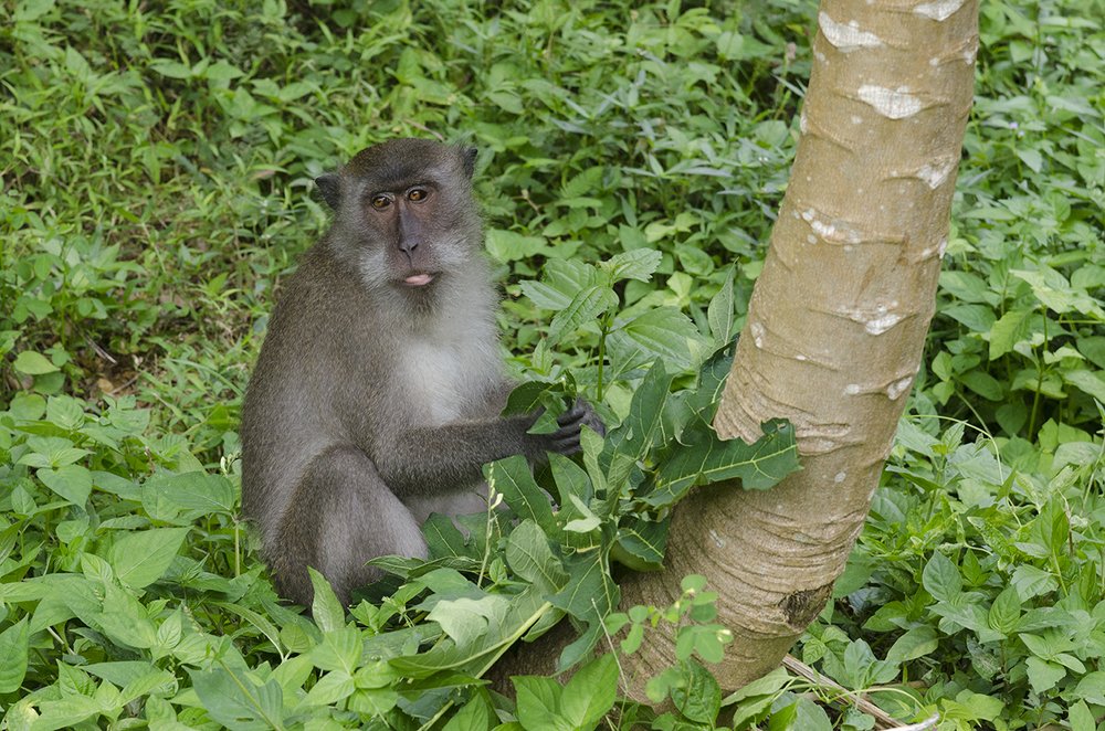 Photograph by Viktor Korotnev