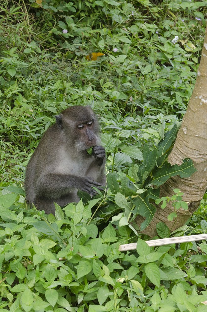 Photograph by Viktor Korotnev