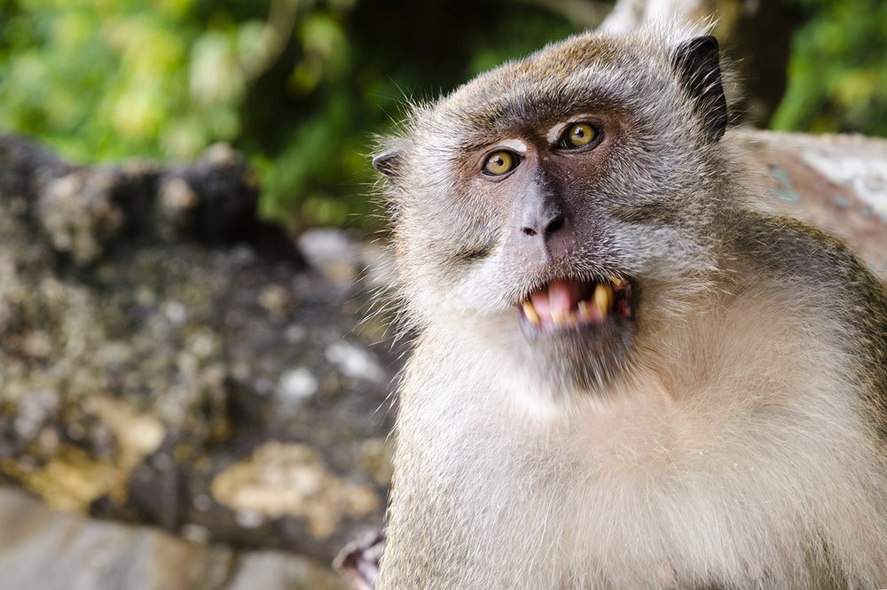 Photograph by Viktor Korotnev