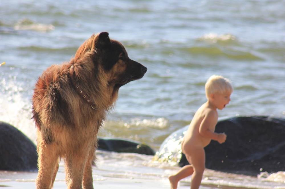 Photograph by Александр