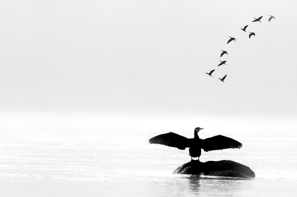 Photograph by Bijalwan Ayush