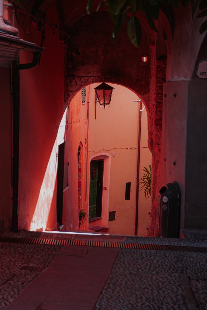 Photograph by Liudmila Drake