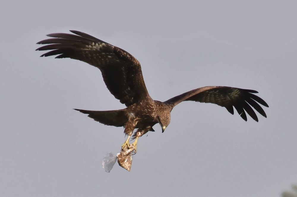 Photograph by Bijalwan Ayush