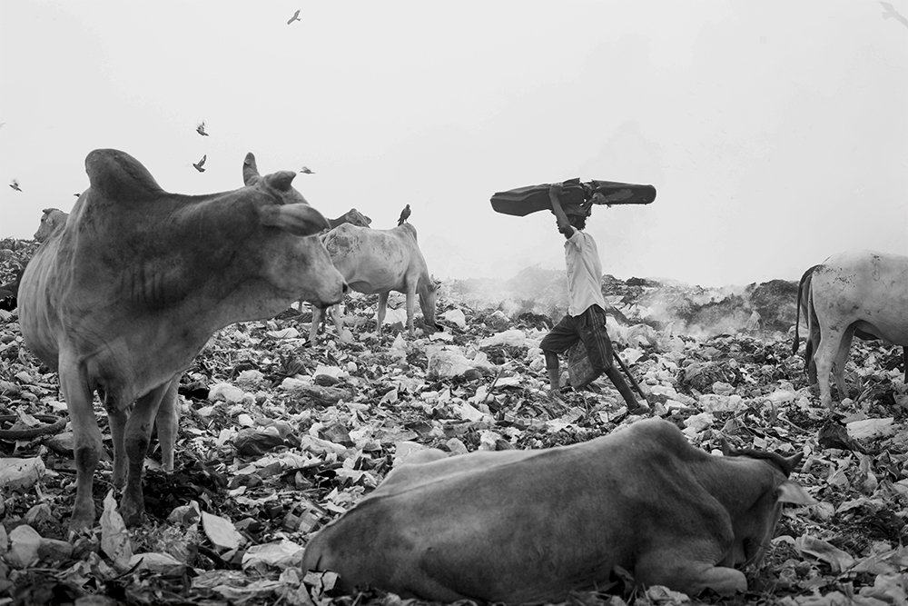 Photograph by Chatterjee Ankit