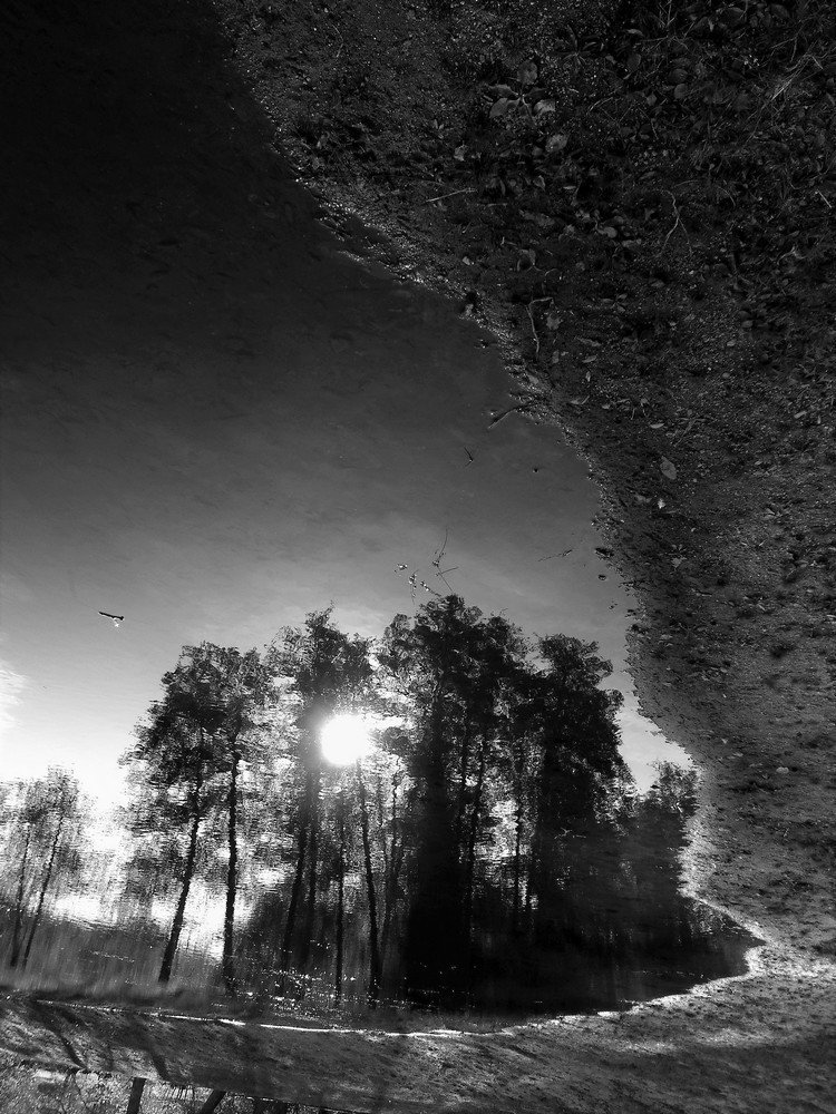 Фотография автора Nicole Thévenon