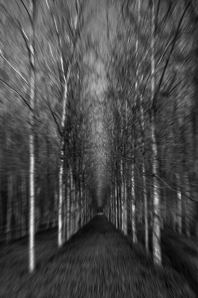 Photograph by Chatterjee Ankit