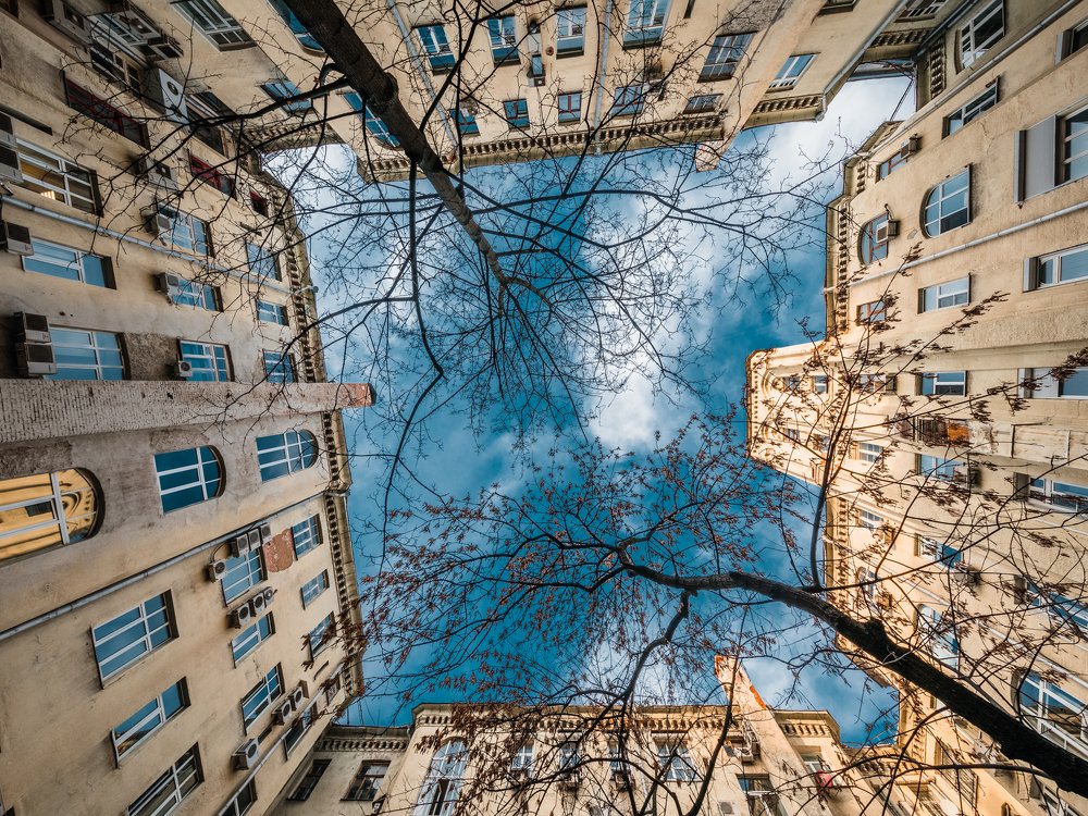 Photograph by Дмитрий Трепольский