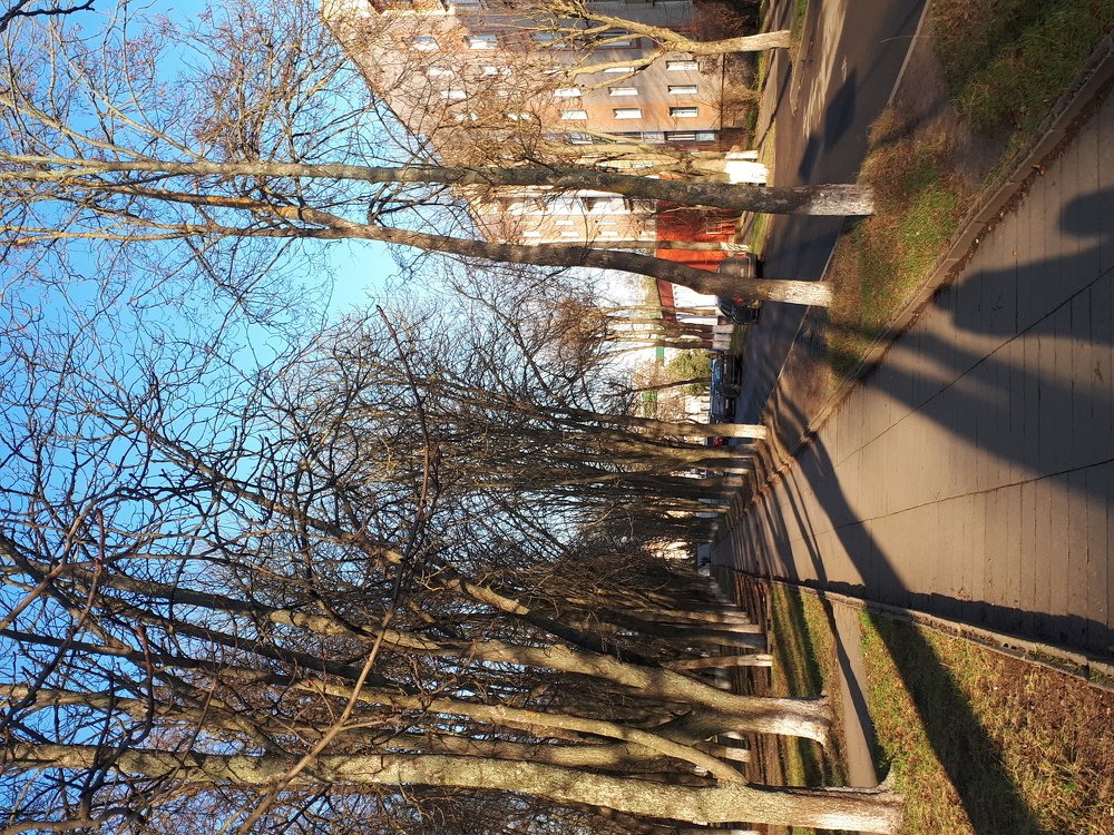 Photo #4049068