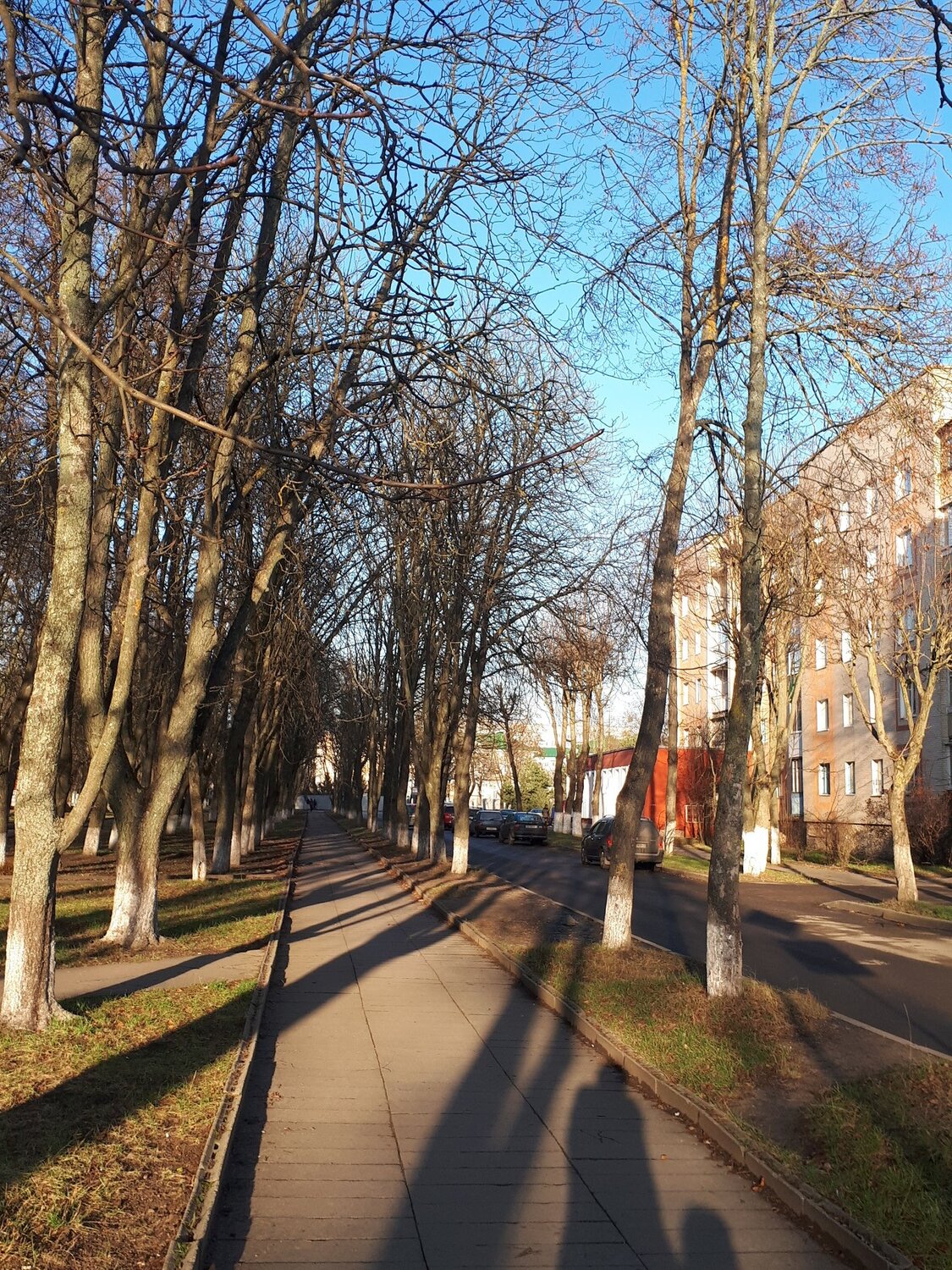 Photo #4049068