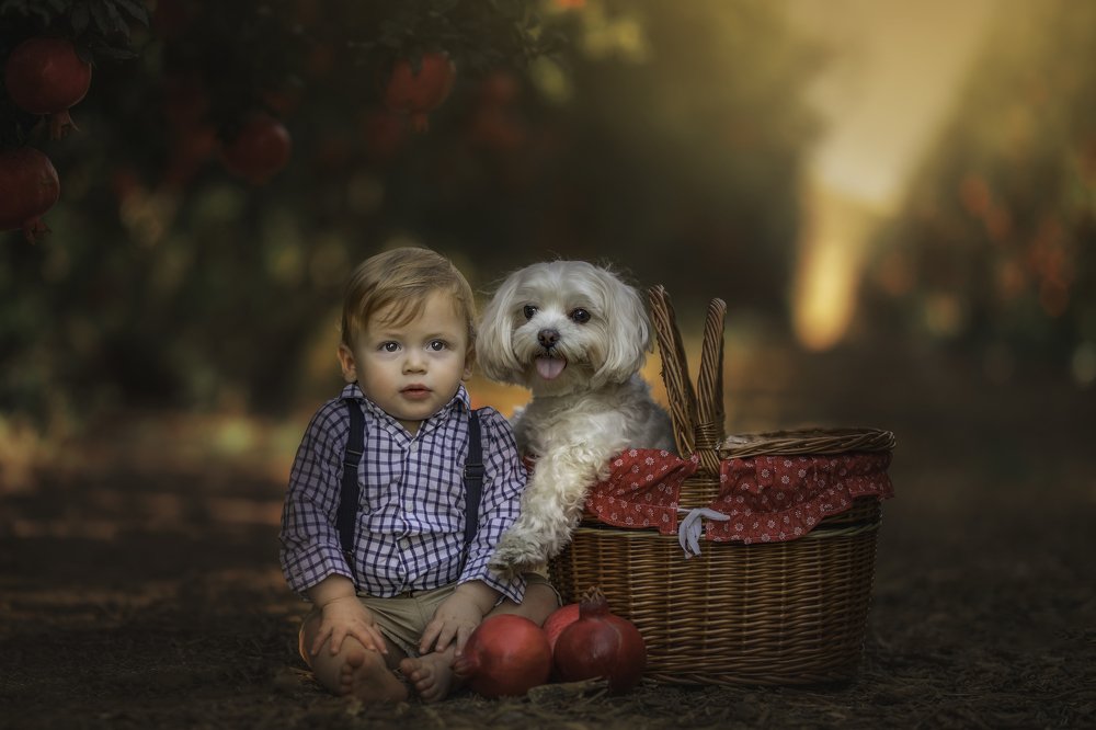 Photograph by yarden kaplan